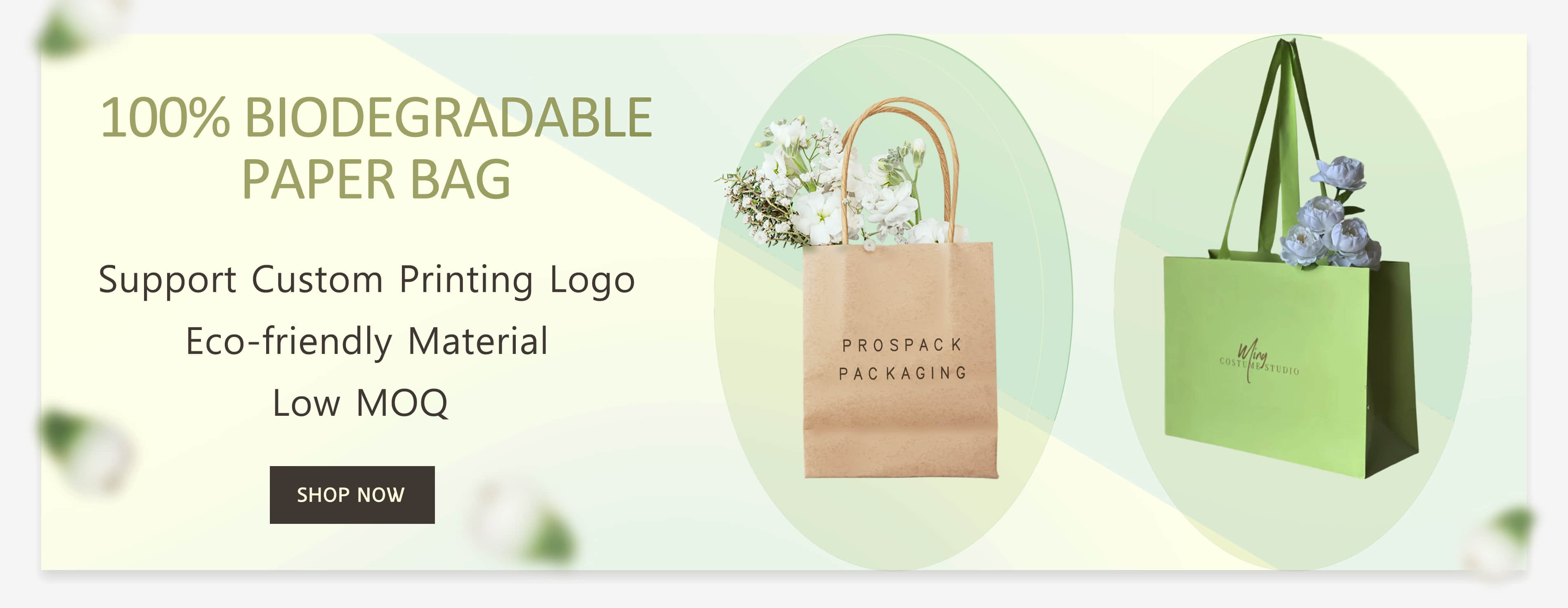 Shenzhen Prospack Packaging Printing Co.,Ltd